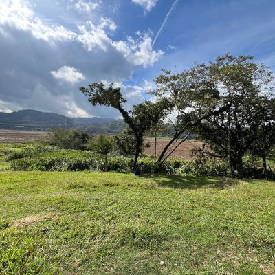 Lote/Terreno à Venda, Belchior Baixo - Gaspar - Lote/Terreno em Belchior Baixo, Gaspar - à venda - Tomio Imoveis Ltda