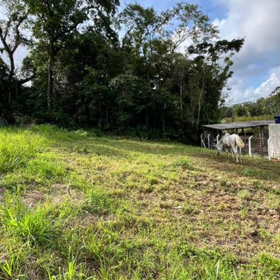 🚀 TERRENO À VENDA – OPORTUNIDADE EM RIO PEQUENO! - Lote/Terreno em Rio Pequeno, Camboriú - à venda - GJ Imóveis LTDA