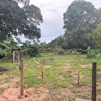 TERRENO Á VENDA NA TRAVESSA DAS ARARAS - Lote/Terreno em Aeroporto, Pimenta Bueno - à venda - DUBAI ENGENHARIA E IMOBILIÁRIA