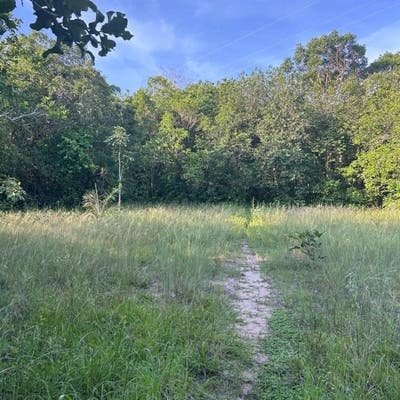 Chácara, 40.000 m² - Lajeado/TO - Chácara em Lajeado - à venda - Zilmara Santos LTDA
