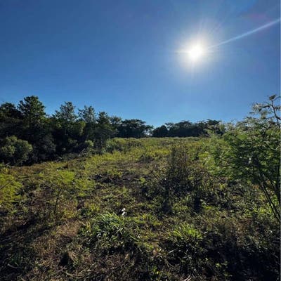 Chácara 3,58 alqueires à Venda Rio Verde-GO - Chácara em Área Rural de Rio Verde, Rio Verde - à venda - Grupo Realize