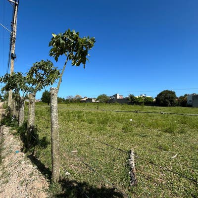 Terreno localizado no Rio Vermelho - Lote/Terreno em São João do Rio Vermelho, Florianópolis - à venda - Nativo Imóveis LTDA