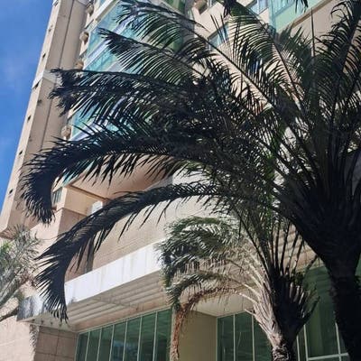 Cobertura Duplex na Enseada do Súa - Duplex em Enseada do Suá, Vitória - à venda - Kaca Imoveis LTDA