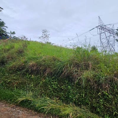 Terreno À Venda na Estrada Distrito Vila Caetés, Área Rural de Camboriú, Santa Catarina - Lote/Terreno em Área Rural de Camboriú, Camboriú - à venda - Master Soluções Imobiliárias LTDA ME