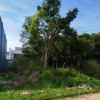 Terreno a venda na praia de Morrinhos para morar, veranear e/ou lucrar com projetos. Consulte nos! - Lote/Terreno em Zimbros, Bombinhas - à venda - Imobiliária Licurana