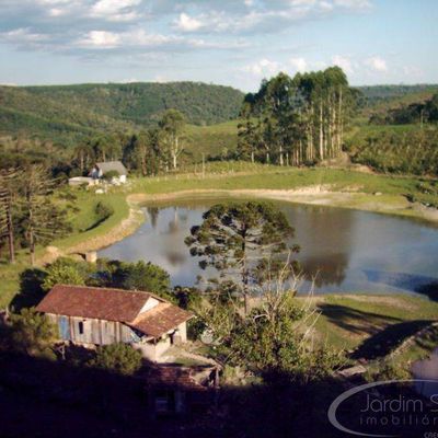 Sítio - Taió - Terreno Rural / Sítio em Taió - à venda - Jardim Sul Imobiliária