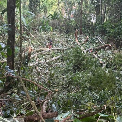 Terreno à Venda no Alto da Praia Velha – Excelente Oportunidade! - Lote/Terreno em Itaguá, Ubatuba - à venda - IALTA IMOVEIS LTDA