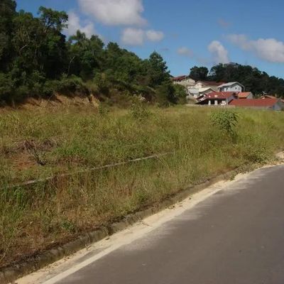 Terreno Urbano - Terrenos em Centro, Agronômica - à venda - Jardim Sul Imobiliária