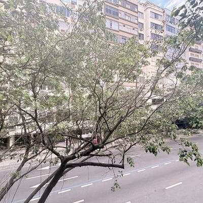 Sala quarto à venda em Copacabana, na Rua Barata Ribeiro. Colado a rua Paula Freitas, apenas 350 metros da estação metrô Cardeal Arco Verde. - Apartamento em Copacabana, Rio de Janeiro - à venda - MIGUEZ IMOBILIÁRIA