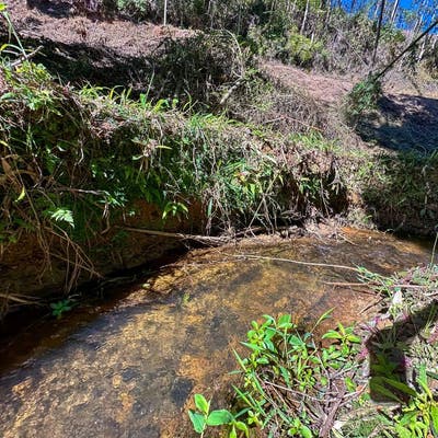 Terreno com preço de OPORTUNIODADE: 33 hectares, lindo córrego, pomar, cAsa simples ótimo acesso - Terreno em São Bento de Urânia, Alfredo Chaves - à venda - Majoris Imóveis Ltda