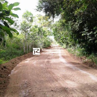 Estrada de terra