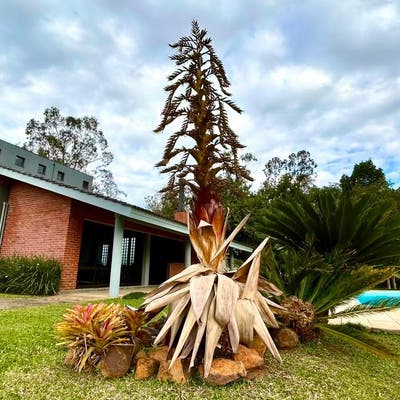 Paragem dos Verdes Campos | Gravataí - Casa de Condomínio em Paragem dos Verdes Campos, Gravataí - à venda - Vance Imóveis