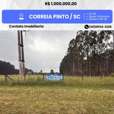 Area externa