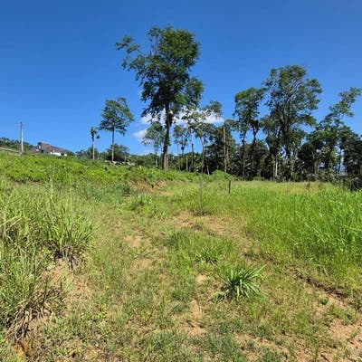 Lote/Terreno à Venda, Ilha da Figueira - Jaraguá do Sul - Lote/Terreno em Ilha da Figueira, Jaraguá do Sul - à venda - Imobiliária Piermann