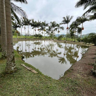 Sítio com 3 quartos à Venda, Boa Vista - Ilhota - Sítio em Boa Vista, Ilhota - à venda - Tomio Imoveis Ltda