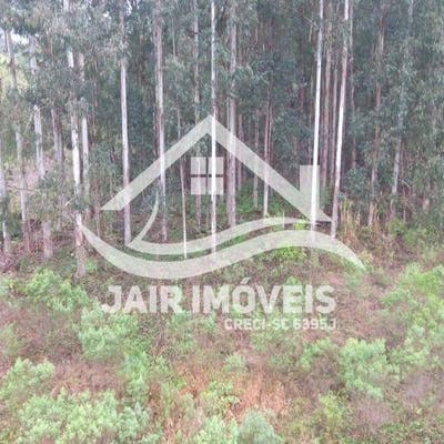 Terreno Rural - Cidade de Petrolândia - SC - Terreno em Alto Barra Nova, Petrolândia - à venda - ARPIA Imobiliária