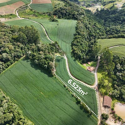 Terreno para Sitio com 6.523M² - Sitio / Terreno Agrícola em SÃO MARTINHO, Aurora - à venda - Imobiliária Solução