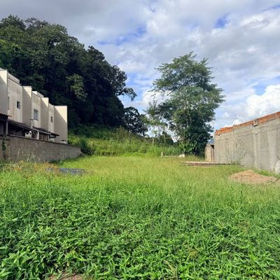 Terreno com 444 M², Tifa Martins - Lote/Terreno em Tifa Martins, Jaraguá do Sul - à venda - IMOB Imóveis