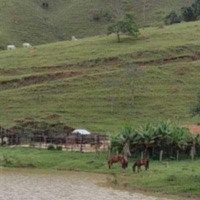Fazenda à Venda, Pouso Frio - Pindamonhangaba - Fazenda em Pouso Frio, Pindamonhangaba - à venda - EDSON DERRICO IMOVEIS LTDA
