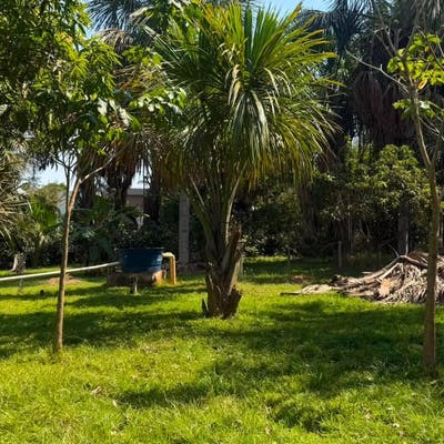 🌿 Chácara disponível a 3km da cidade - Chácara em Sorriso - à venda - Carrapicho Imóveis