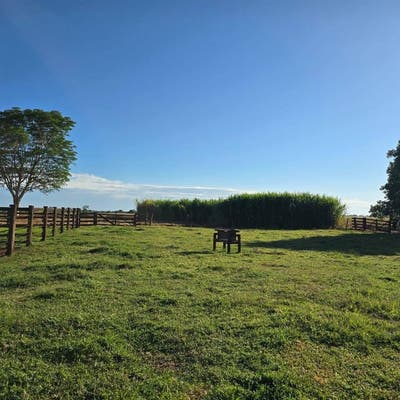 Fazenda com 4 quartos à Venda, Zona Rural - Acreúna - Fazenda em Zona Rural, Acreúna - à venda - Grupo Realize