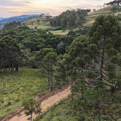 Á venda Terreno Rural , Capitel da Menina Custodia - Terreno em Três pedrinhas, São Joaquim - à venda - Figueiredo e Reginato Gestão Imobiliaria e Comercio LTDA