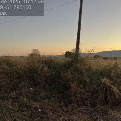 Lote/Terreno , Brisa da Mata - Piranhas - Lote/Terreno em Brisa da Mata, Piranhas - à venda - Futura Imóveis