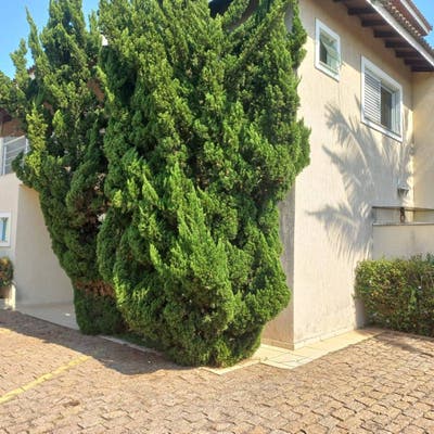 Casa com 2 quartos em condomínio Jardim Maristela - Atibaia - Casa em Jardim Maristela, Atibaia - para locação - Di Casa Imóveis Atibaia LTDA