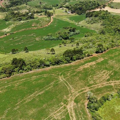 Fazenda Para Pastagem e Lavoura - Fazenda em Santa Terezinha do Salto (Lages) - à venda - ZEH IMOVEIS LTDA