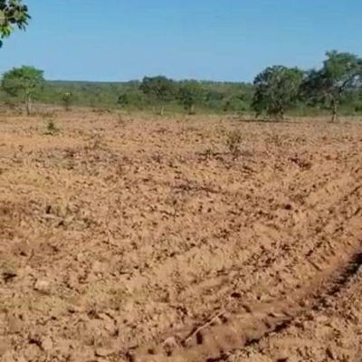 Fazenda com 1 Quarto à Venda, Setor Central - Cristalândia - Fazenda em Setor Central, Cristalândia - à venda - Zilmara Santos LTDA