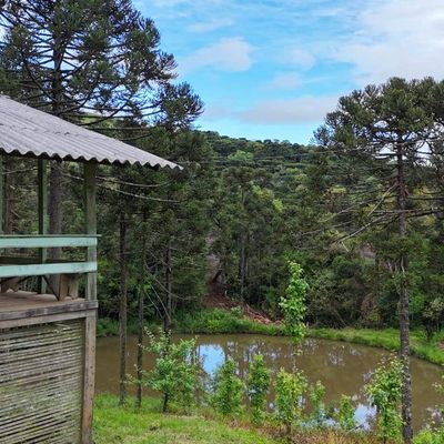 Terreno rural no Monte Alegre - São Joaquim SC - Terreno em São Joaquim - à venda - Figueiredo e Reginato Gestão Imobiliaria e Comercio LTDA