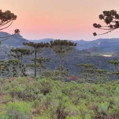 Terreno rural Morro Agudo - Terreno em São Joaquim - à venda - Figueiredo e Reginato Gestão Imobiliaria e Comercio LTDA