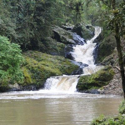 Rural - Terreno - Santa Luzia - Terreno em Santa Luzia, Jaraguá do Sul - à venda - Millar - Imóveis em Jaraguá