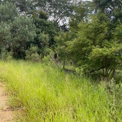 Terreno à Venda na Chácara Recreio Internacional, Suzano/SP - Lote/Terreno em Chácara Recreio Internacional, Suzano - à venda - Camila Ramos Imóveis