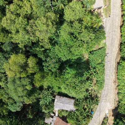 Chácara, Barra do Rio Cerro - Jaraguá do Sul - Chácara em Barra do Rio Cerro, Jaraguá do Sul - à venda - MAVIC IMÓVEIS