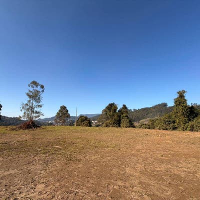 TERRENO - Lote/Terreno em CAMINHO TAMANDUÁ, Presidente Getúlio - à venda - CICLO EMPREENDIMENTOS IMOBILIÁRIOS LTDA