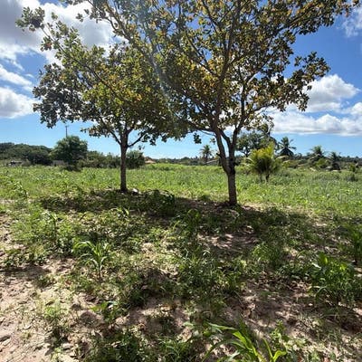 Terreno Loteamento Alvorada à venda - 5.040 m² - R$ 600.000,00 - Lote/Terreno em Aquiraz - à venda - LEVEL IMOVEIS E SERVICOS LTDA