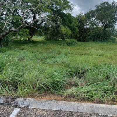 Lote - Ágio 264m² - Flamboyant II - Lote/Terreno em Palmas - à venda - ALUGAR ADMINISTRAÇÃO DE IMÓVEIS