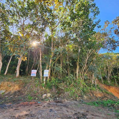 Terreno Residencial 2539 m² em Três Rios do Norte, Jaraguá do Sul - Amplo Espaço - Lote/Terreno em Três Rios do Norte, Jaraguá do Sul - à venda - Franco Imóveis