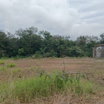 THR7830 - Excelente terreno, bairro Nova Palhoça, Palhoça/SC. - Lote/Terreno em Barra do Aririú, Palhoça - à venda - THR IMÓVEIS LTDA